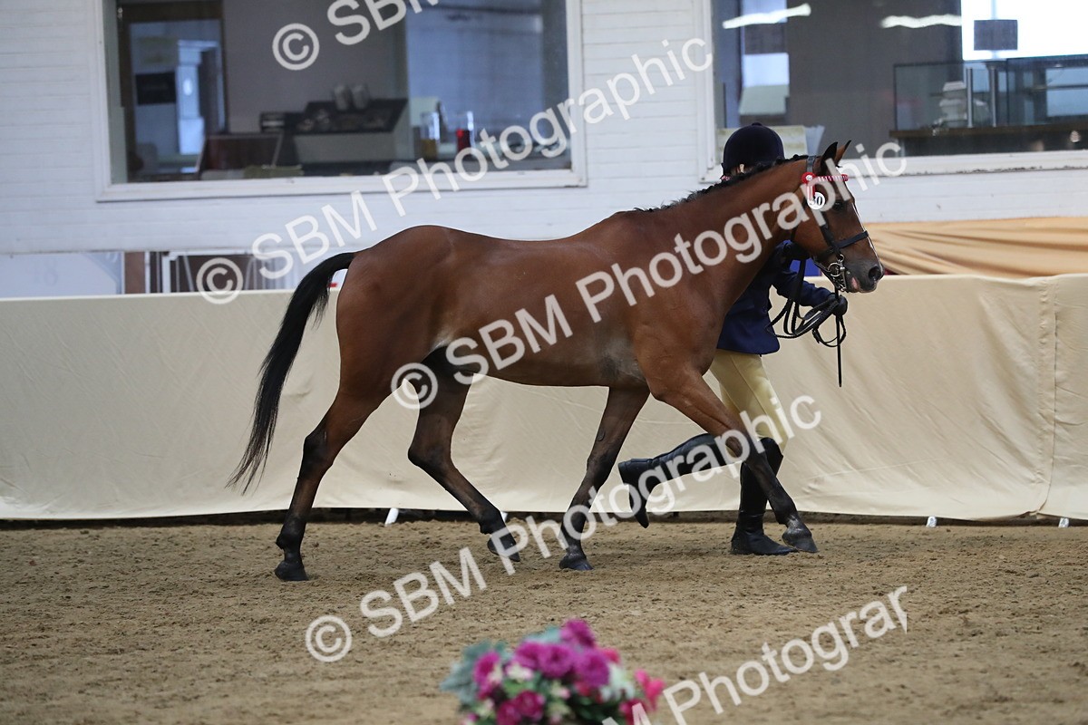 SBM_07331 - Class 10R Regional Ridden Diamond