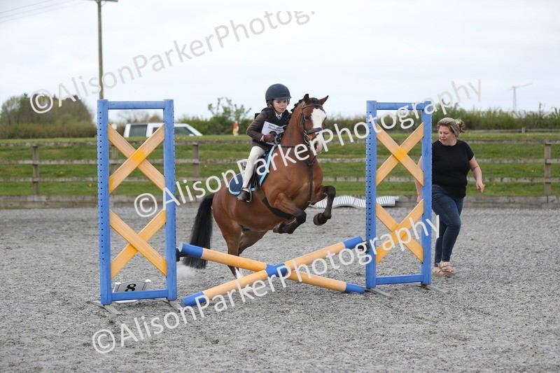 20260412-0117 - Show Jumping