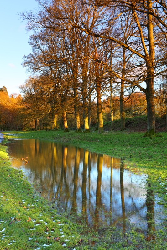 Reflected Row - County Durham
