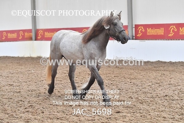JAC_5698 - 6 Glenmuir Niamh