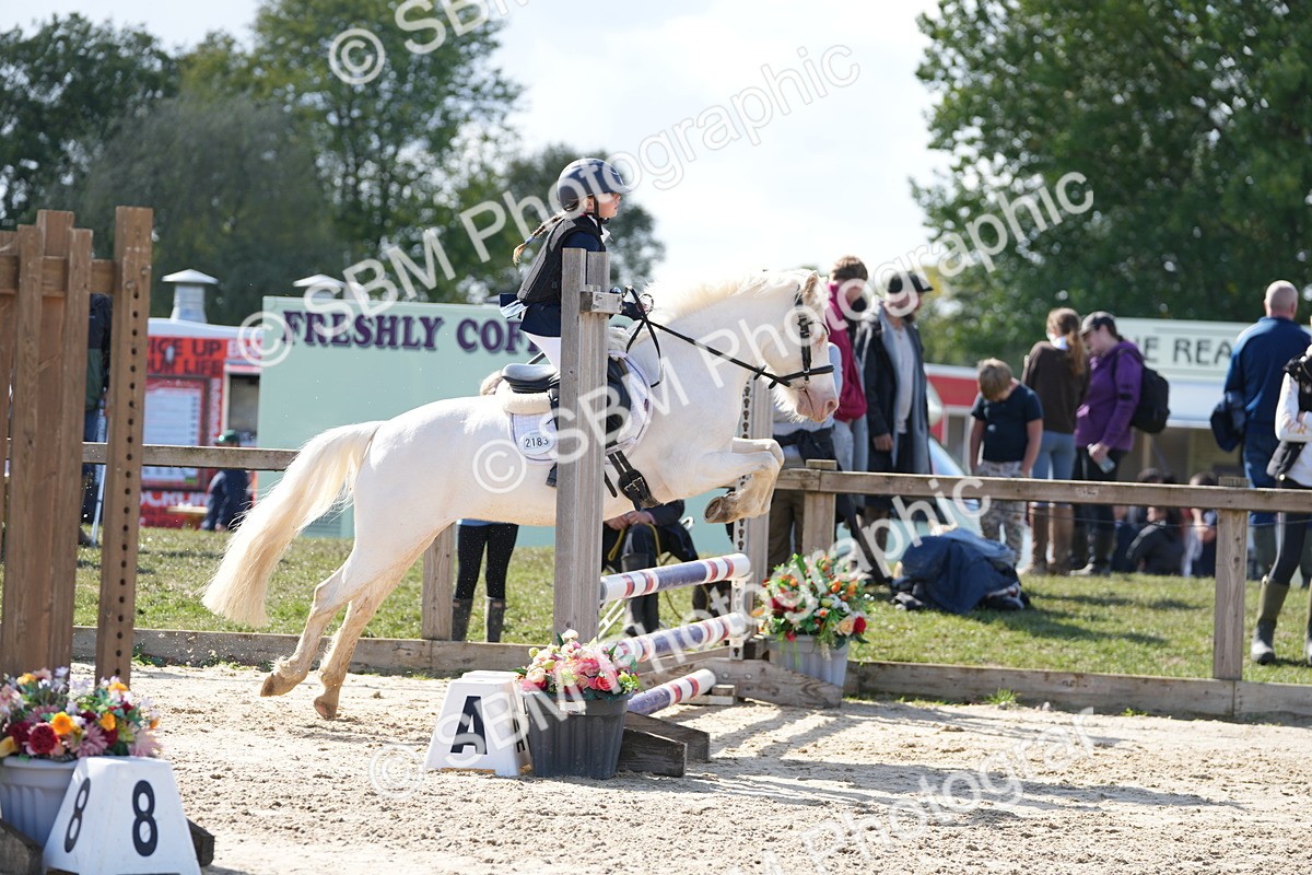 SBM_46550 - J7 - Junior Pony 60cm Championship