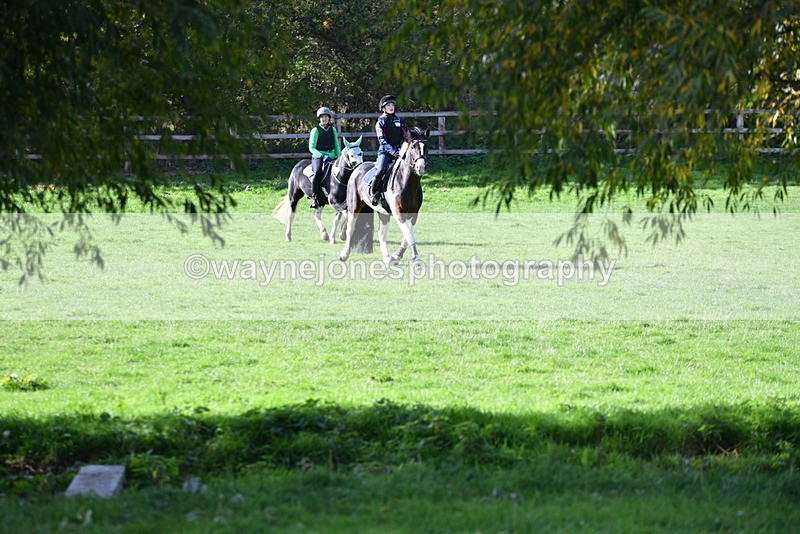 WJ5_8098 - Time 10:31 to 12:01