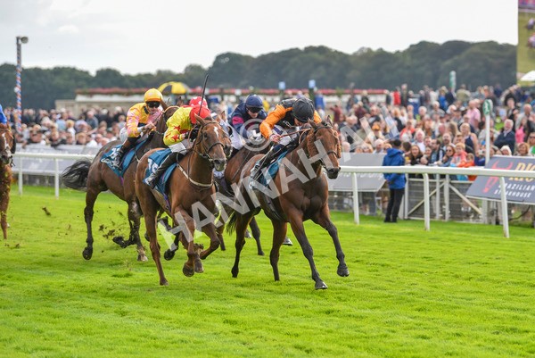 230923-Race 4-Aphelios-6494 - Race 4 3.45pm Jigsaw Sports Branding Handicap