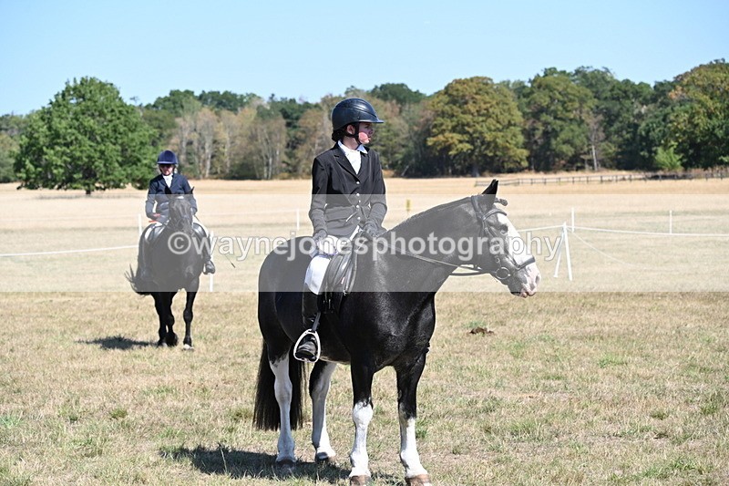 WJ6_8504 - Class 37a Best Loan Pony Ridden