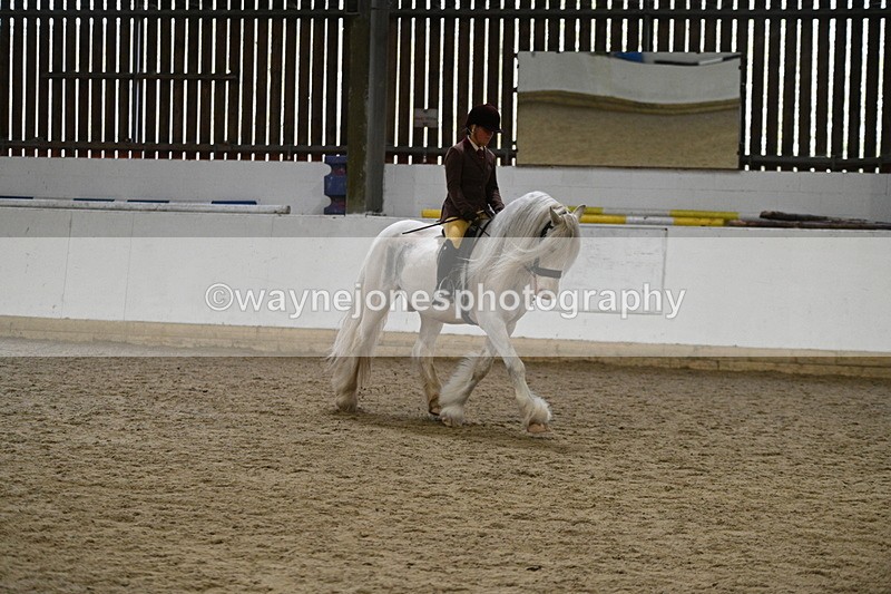 WJ7_3665 - Class 16 Ridden Coloured/ Odd Coloured