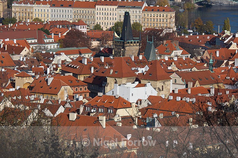 Terracotta roofs, Prague - Prague, Czech Republic