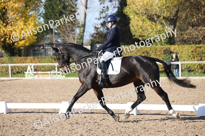 20251102-0969 - Class 5 - Elementary 5