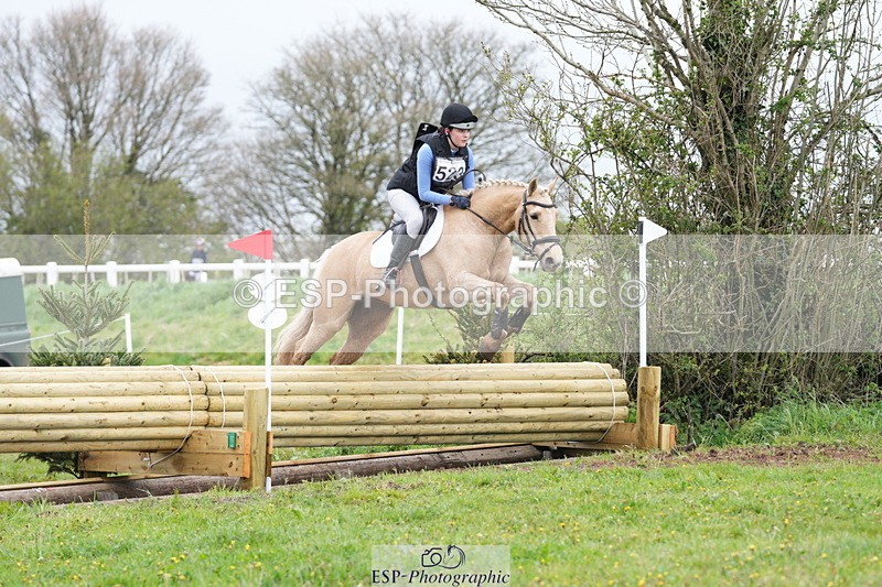 250419-130038-10030 - 523-Kate.Hicks-SWALLOWCROFT.STARDUST