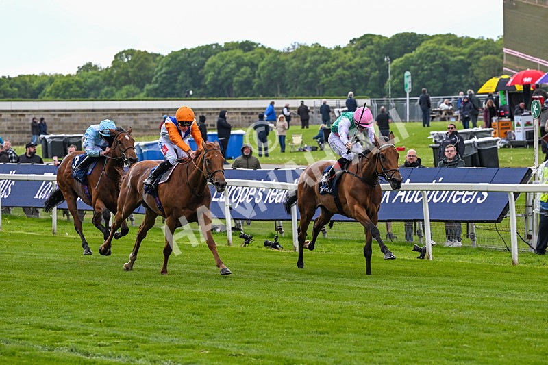 130526-Race 5-Legacy Link-3236 - Race 5 4.05pm Tattersalls Musidora Stakes