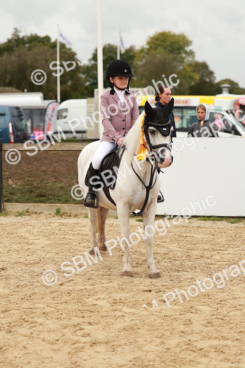 SBM_58093 - J11 - Junior Pony 50cm Championship