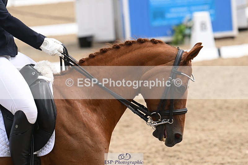 250720A-135436-11447 - 035-Becky.Littleton-De.Primadiva