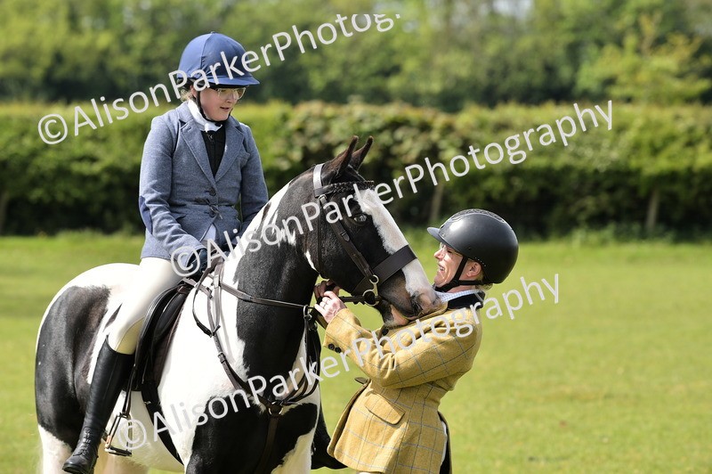 20260426-2330 - Class 20 - Beginner Working Hunter