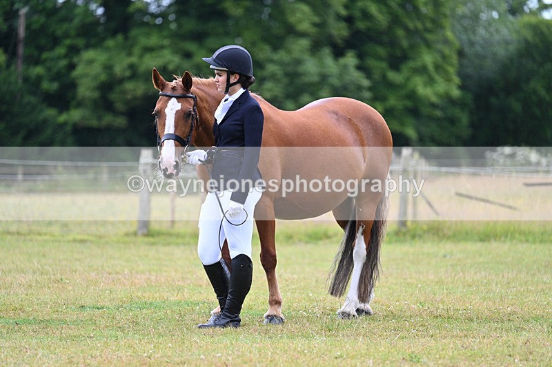 WJ7_6208 - Class 4a Prettiest Mare over 14hh