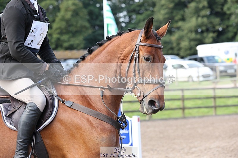 240803-093431-00048 - 002-Simon_Wooding-CURRAGHGRAIGUE_WILFRED