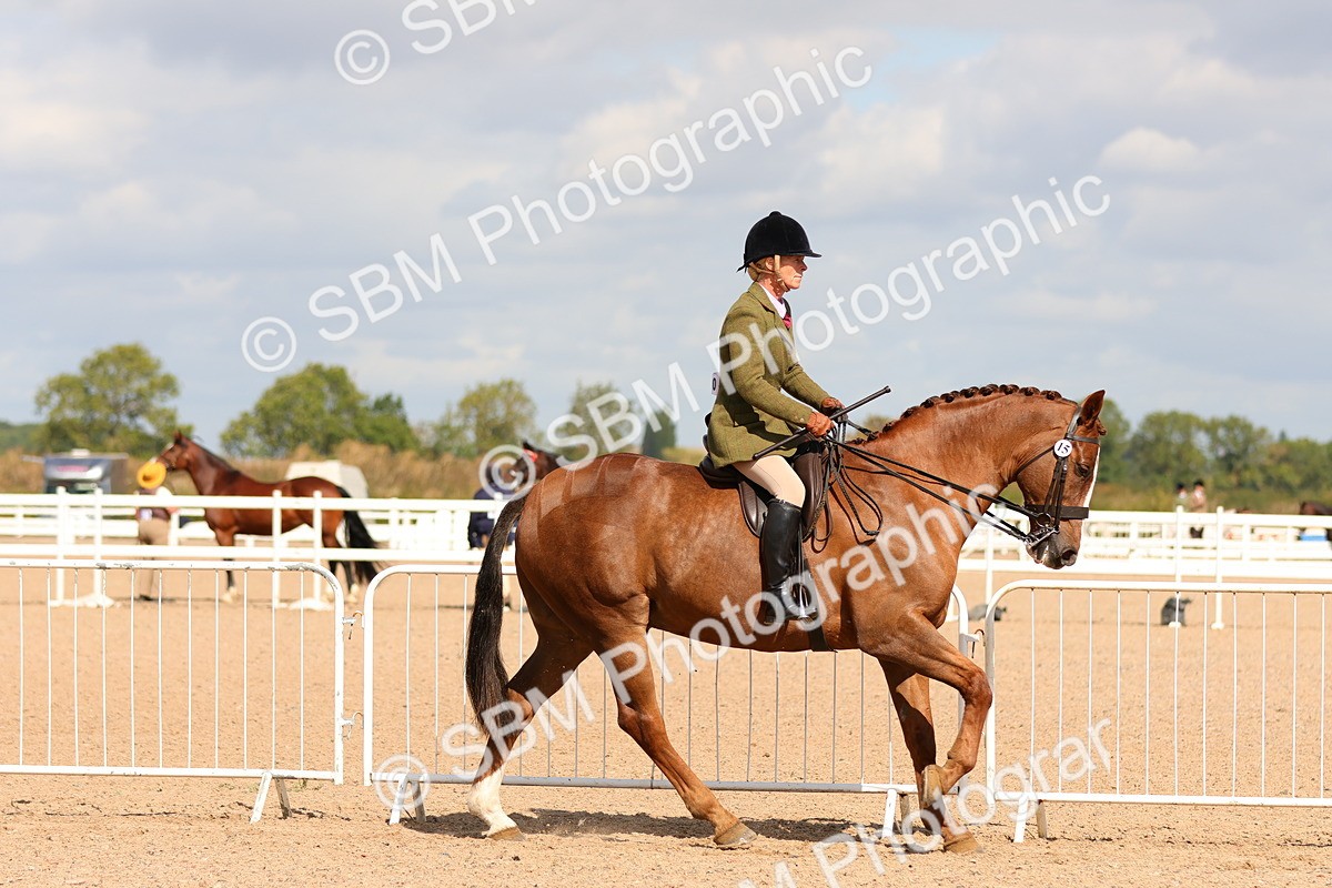 SBM_13194
