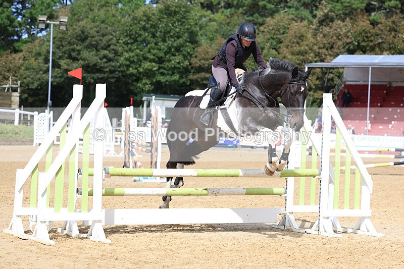 3E7A9238 - Class 9: Senior British Novice/90cm open