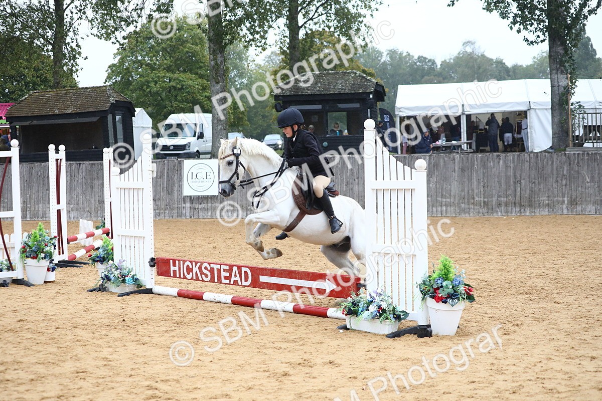 SBM_71682 - J4 - Mini Tour Junior Pony 45cm Championship