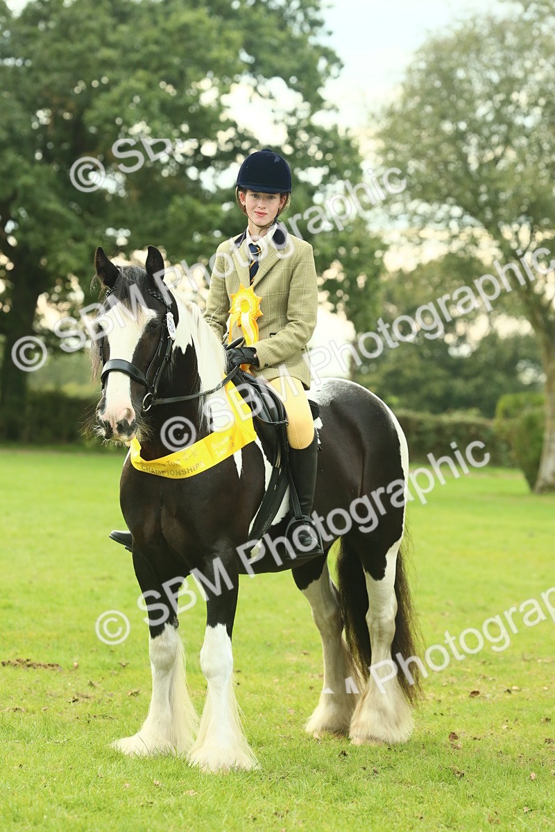 SBM_75082 - Ridden Pony Supreme Championship