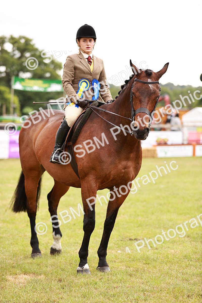 SBM_10891 - Class 81-84 - RIHS Ridden hunters Inc Ladies Hunter