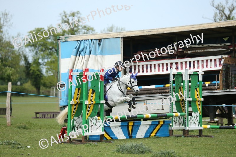 20260426-2009 - Class 15 - Absolute Novice 70cm