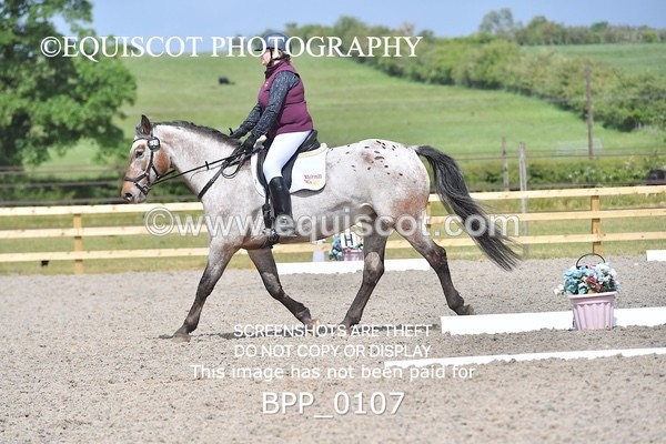 BPP_0107 - SHORT ARENA  MY QUEST PRELIM