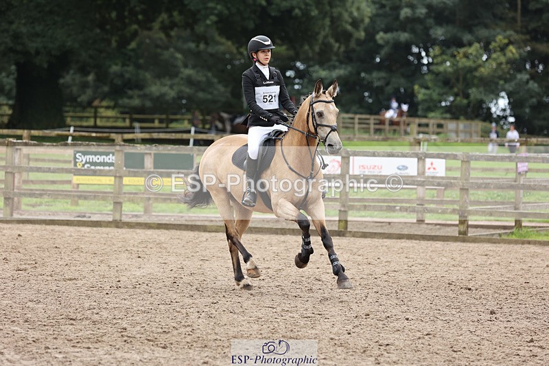 240804-125943-13542 - 521-Lily_Howell-WOODFIELD_GOLD