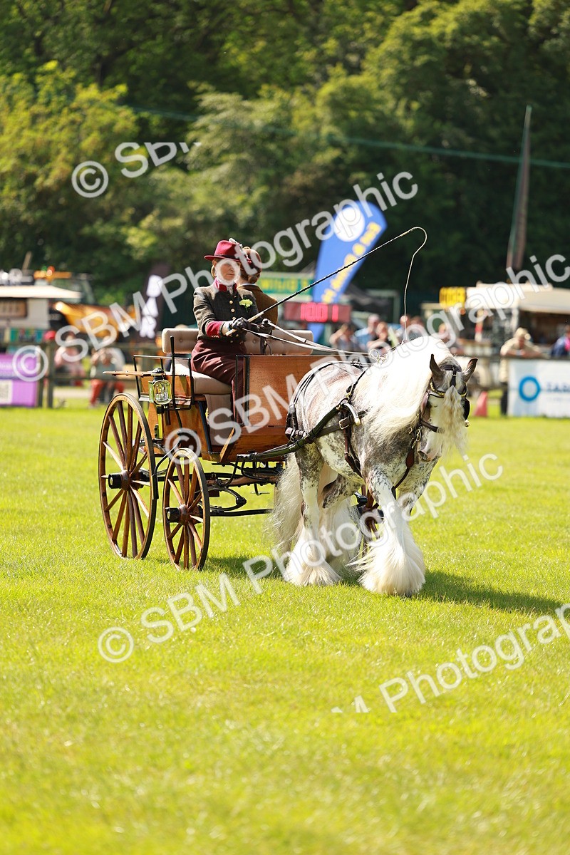 SBM_02658 - Class 2-4 - HOYS Private Driving