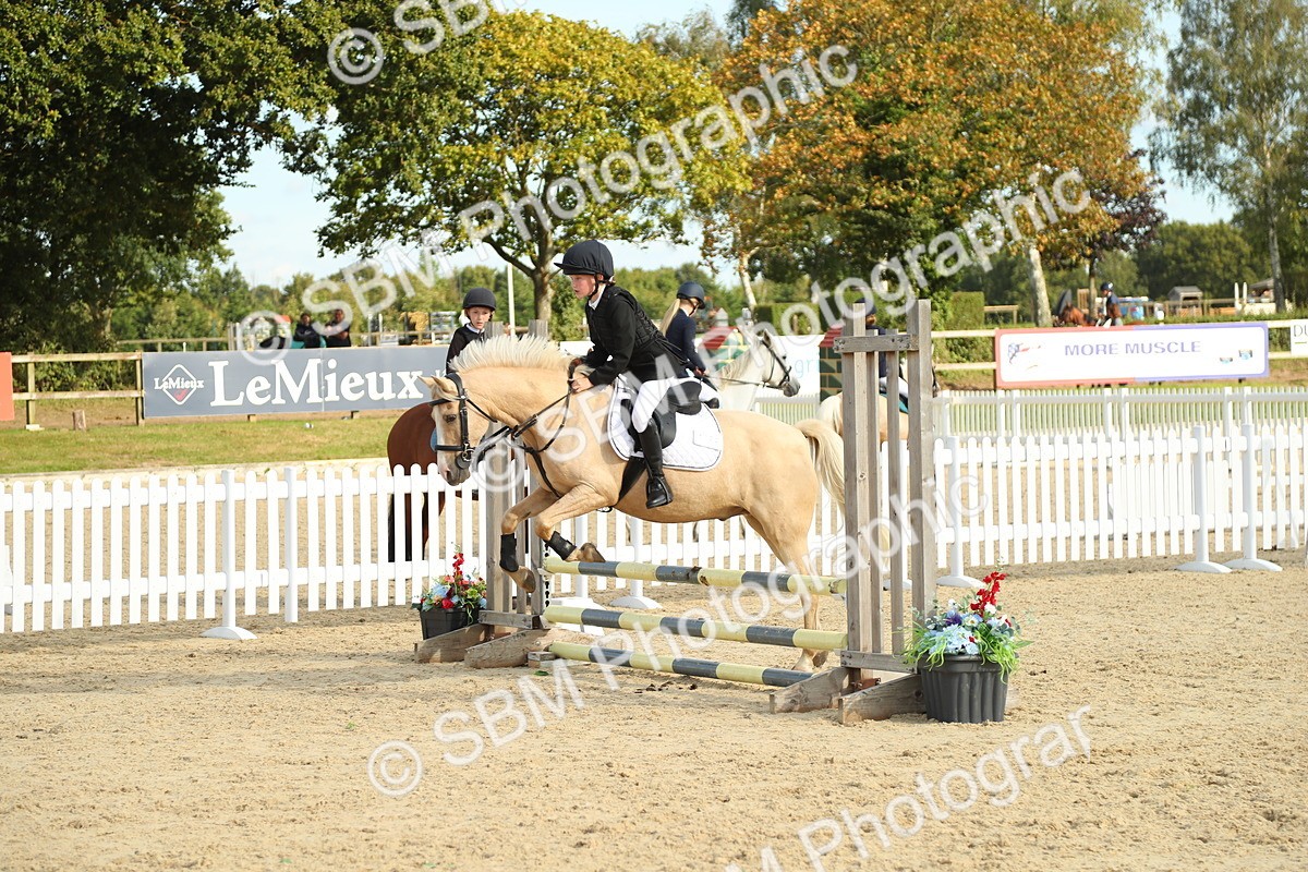 SBM_51678 - J7 - Junior Pony 60cm Championship