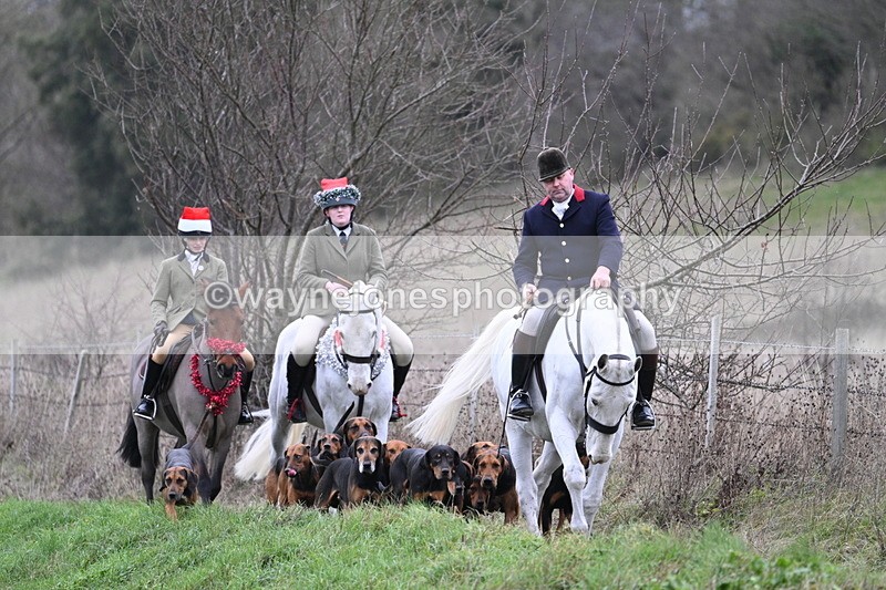 WJ7_0804 - First Seen