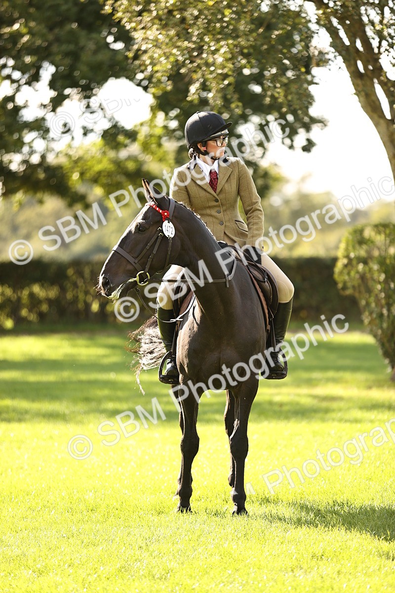 SBM_26402 - S6 - Novice & Newcomers Ridden Horse