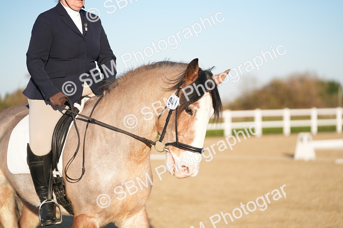 SBM_005810 - Class 6 - E1-80cm