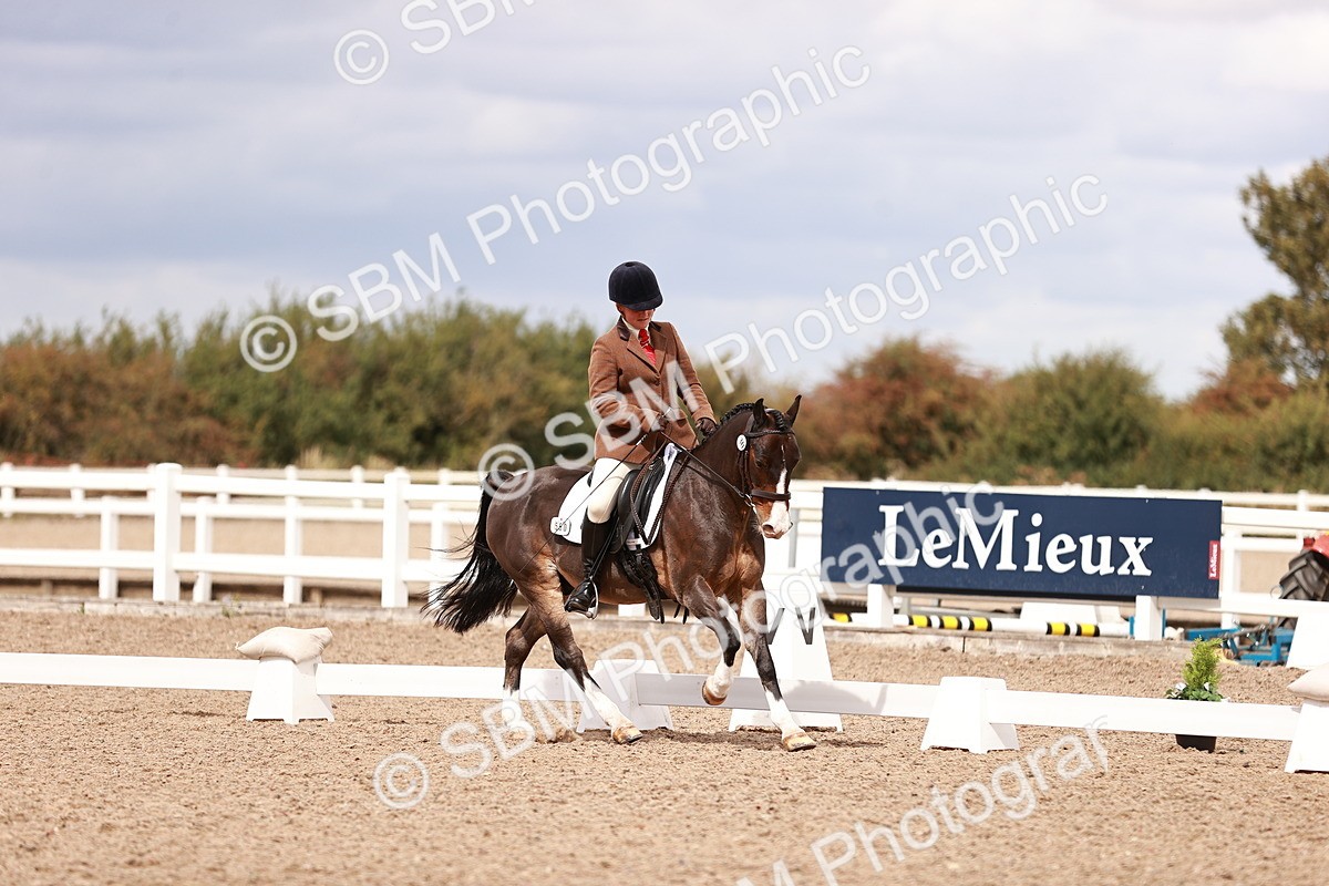 SBM_06229 - Class 37 - Novice 5