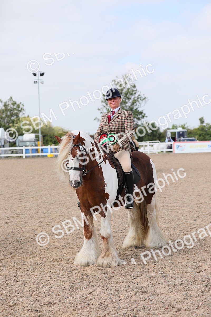 SBM_12860 - Class 307 Ridden Coloured Pony