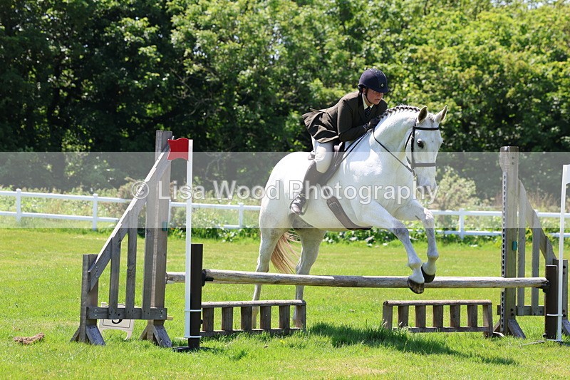 3E7A7483 - Class 31: Working Hunter Cob/Riding Horse
