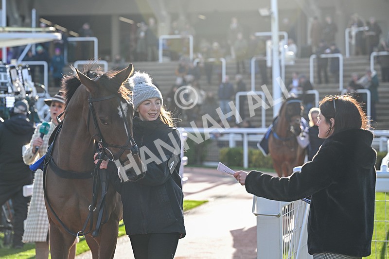 251025-Race 5-Loriko-9378 - Race 5