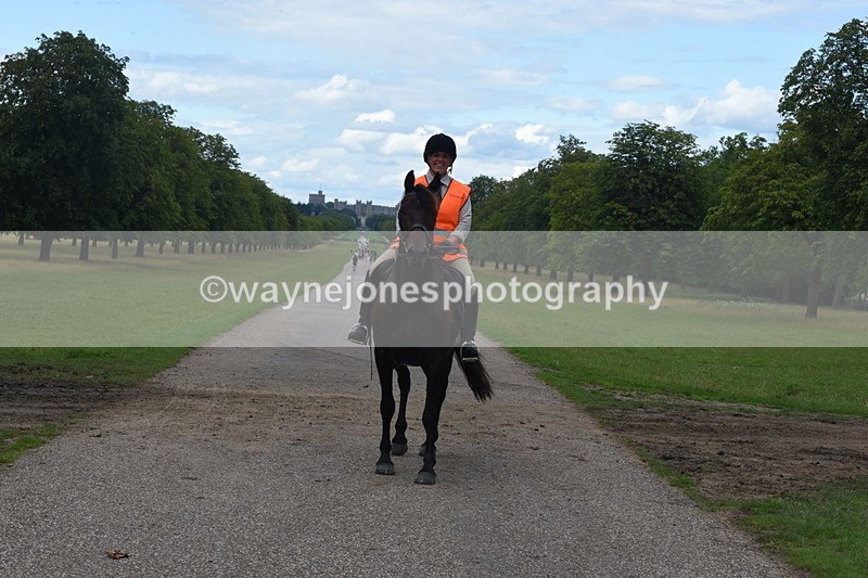 TT3_0548 - Time at Crossing 14:53 to 1526