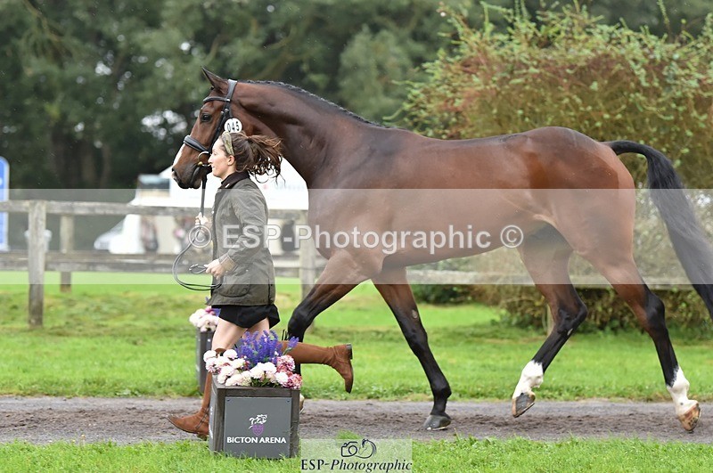 231018-123458-00377 - 045-HILDARE.REGARDE.MOI-Danielle.Mccormack-TrotUp