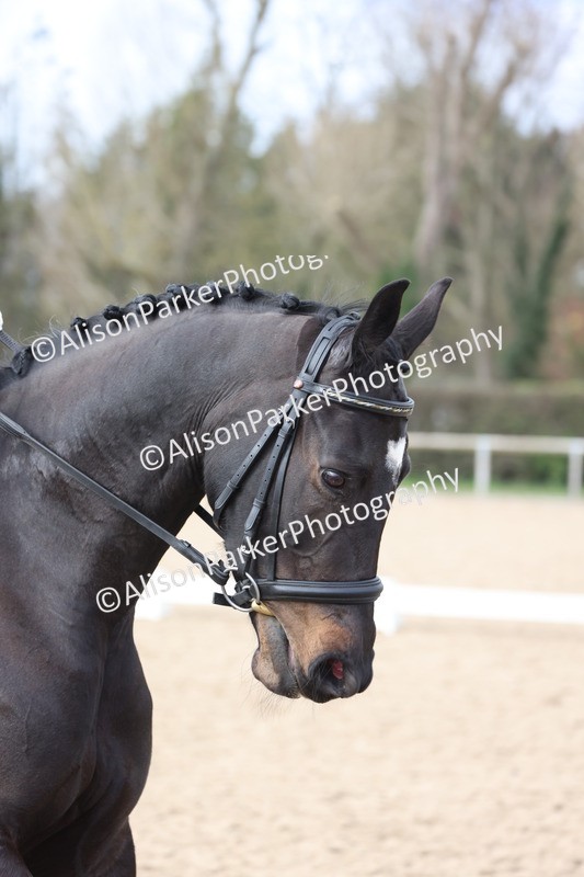 20260301-0822 - Class 5 - Elementary 4