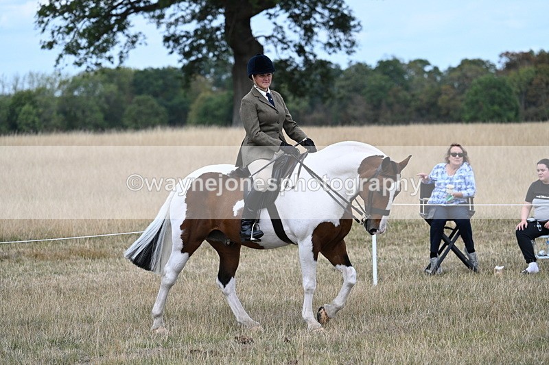 WJ7_5397 - Class 12 Ridden Cob