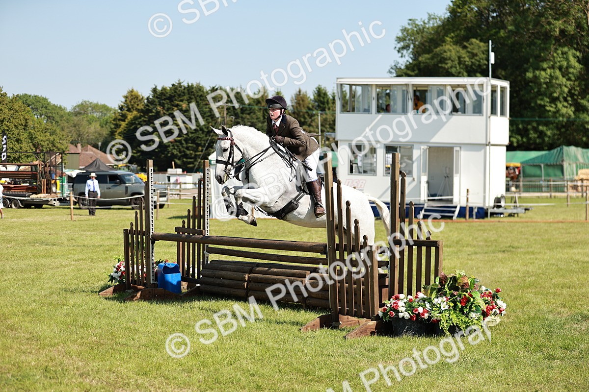 SBM_18848 - Class 114 - RIHS & SEIB Open Working Show Horse
