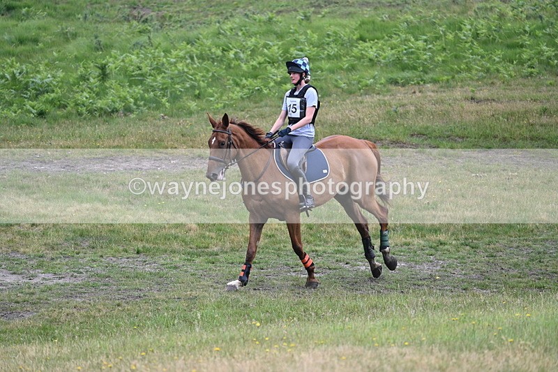 WJ7_9135 - Time 11:14 to 11:22