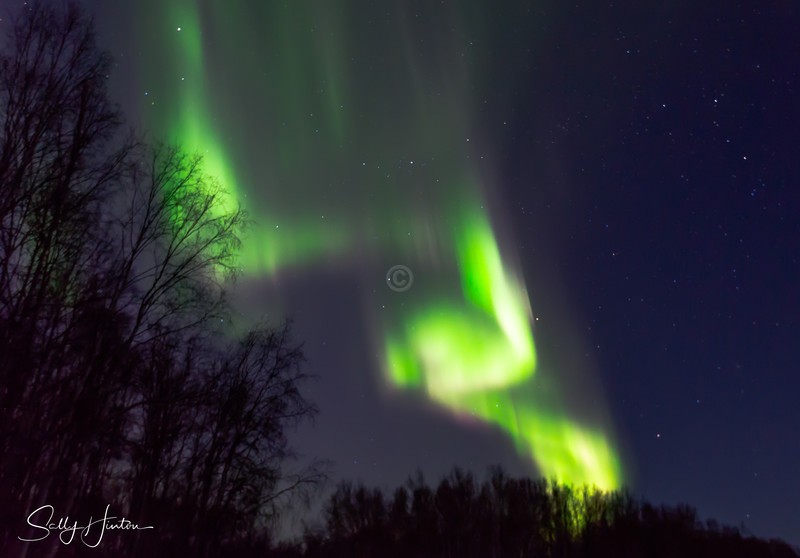 Aurora Fairbanks 9