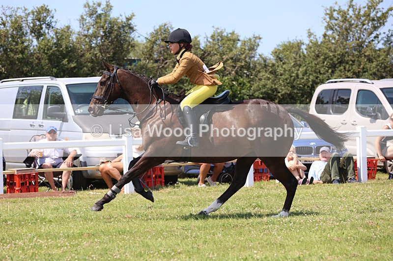 JPP_3072 - Class 22: Working Hunter 70cm