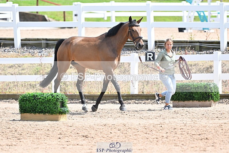240717A-145215-02352 - Trot Up 2pm to 3pm - This folder is not in time order
