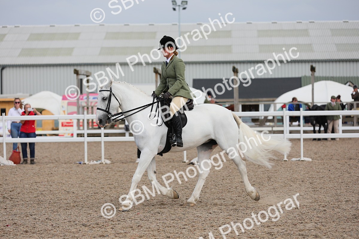 SBM_17792 - Class 315 Best Horse/Rider Combination