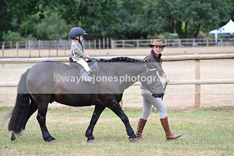 WJ7_9671 - Class 1 Lead Rein Pony