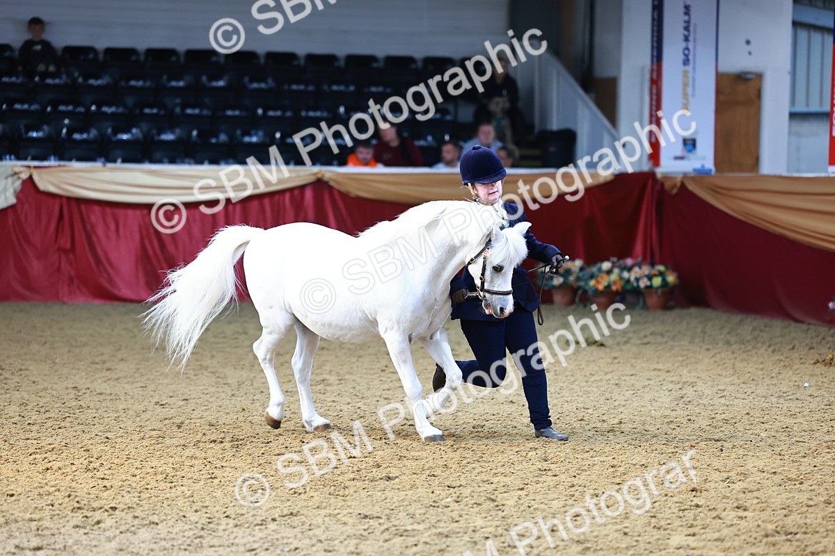 SBM_22317 - Class 902 - Supreme Final - IH Diamond