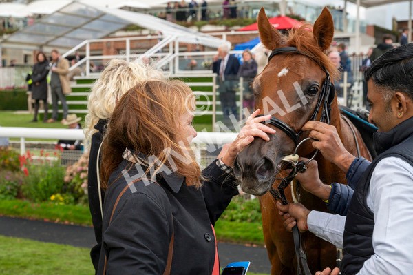 121024-Race 4-Fearless Freddy-7850 - Race 4 3.15pm Play Coral Racing-Super-Series For Free Nursery Handicap