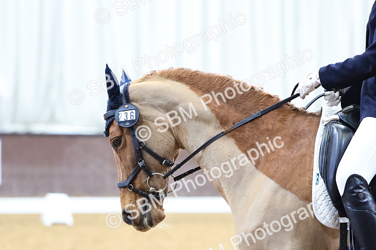 SBM_001500 - Class 19- M5