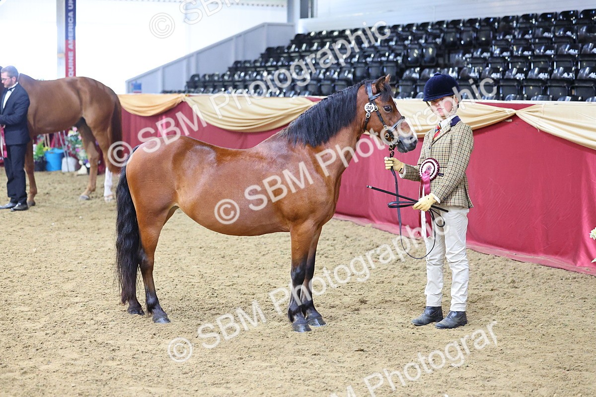SBM_21183 - Class 902 - Supreme Final IH Veteran